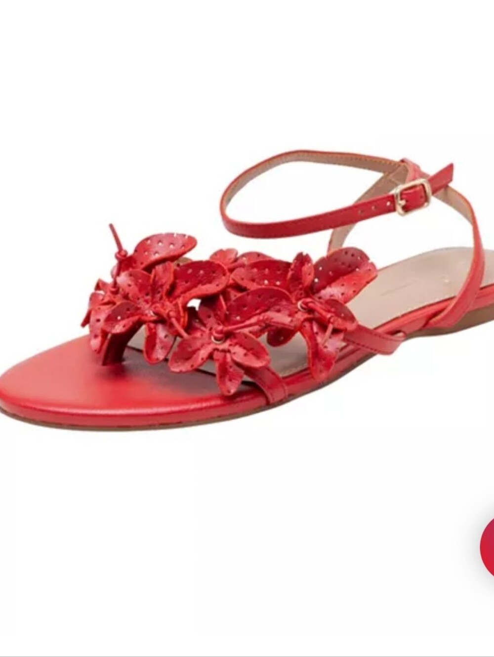 NIB Linea Paolo Lucia Flower Embellished Leather Sandals. Size 6.5